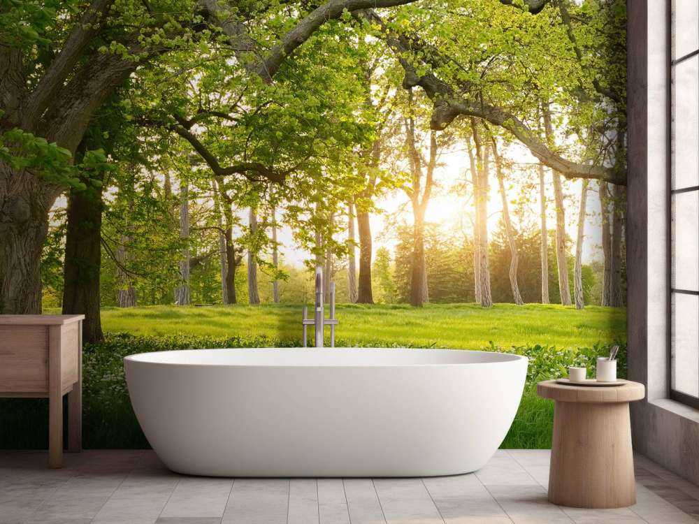 Åpen plass i skogen