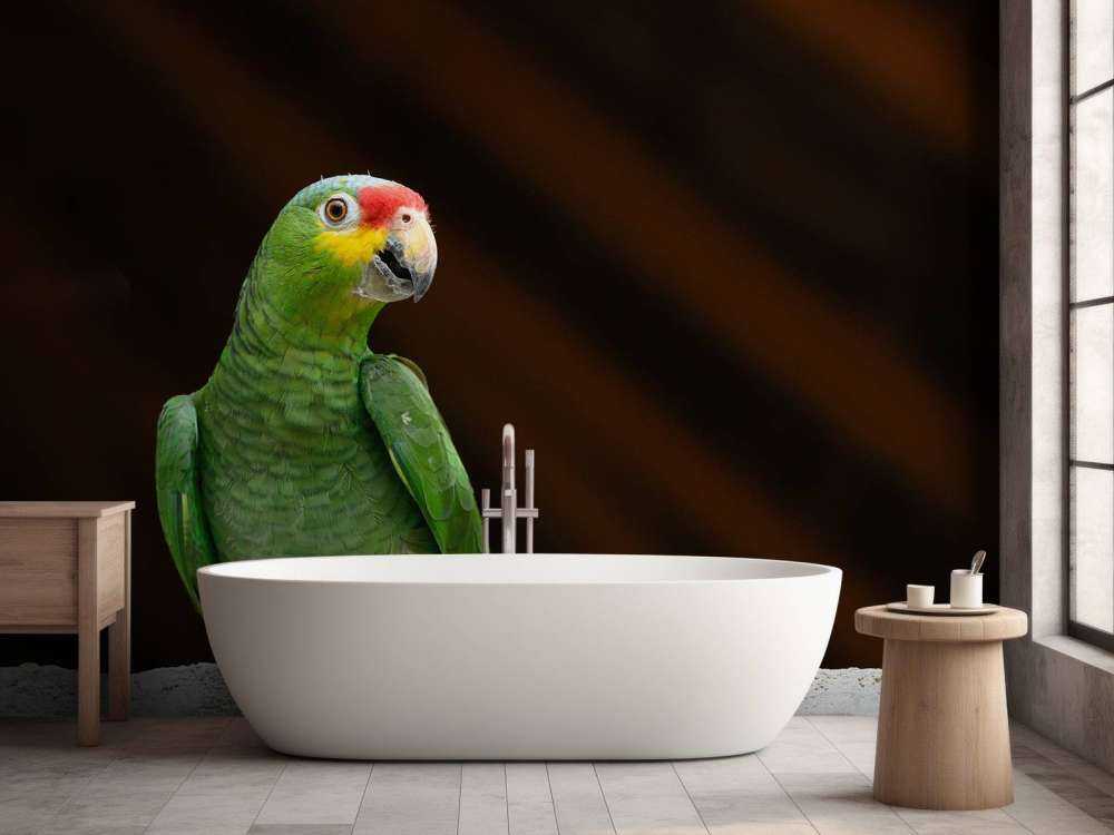 nysgjerrig papegøye