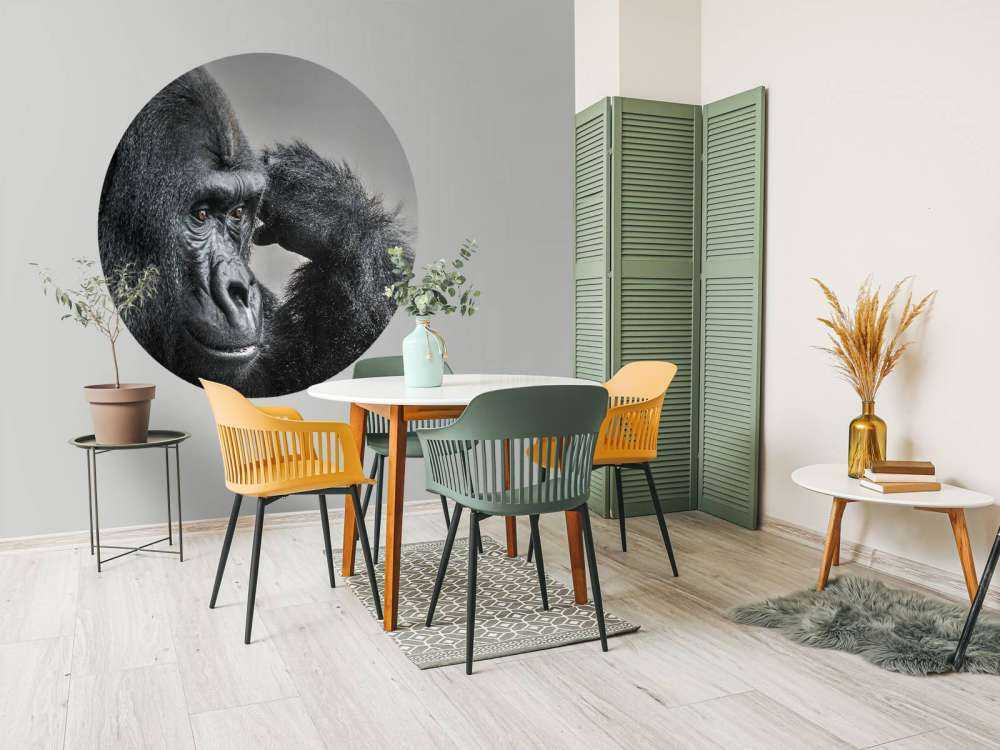 Gorilla svart og hvitt