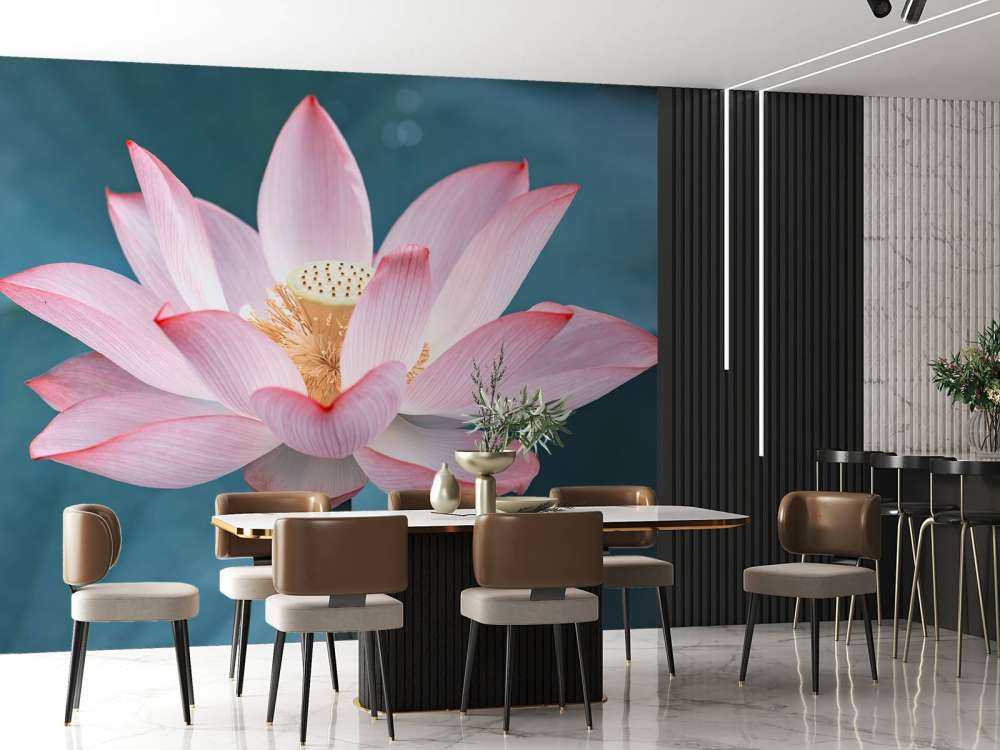 Rykke sammen, av, lotusblomst