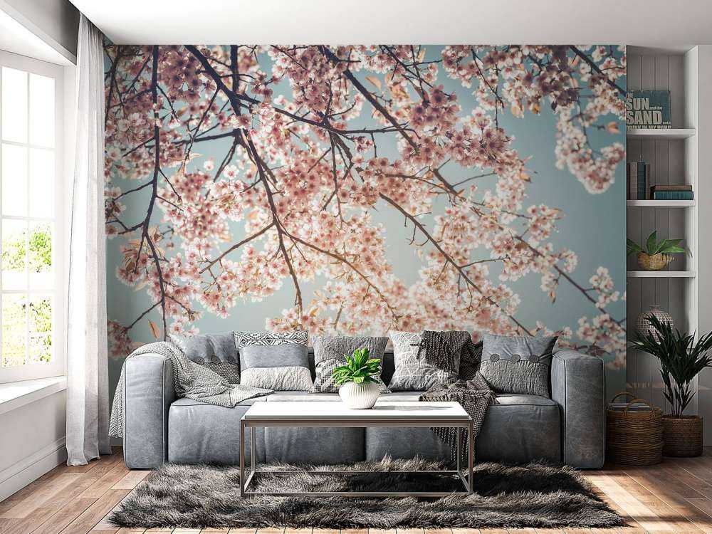 Kirsebærblomst
