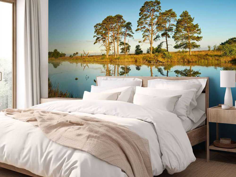 Refleksjon i skogsjøen