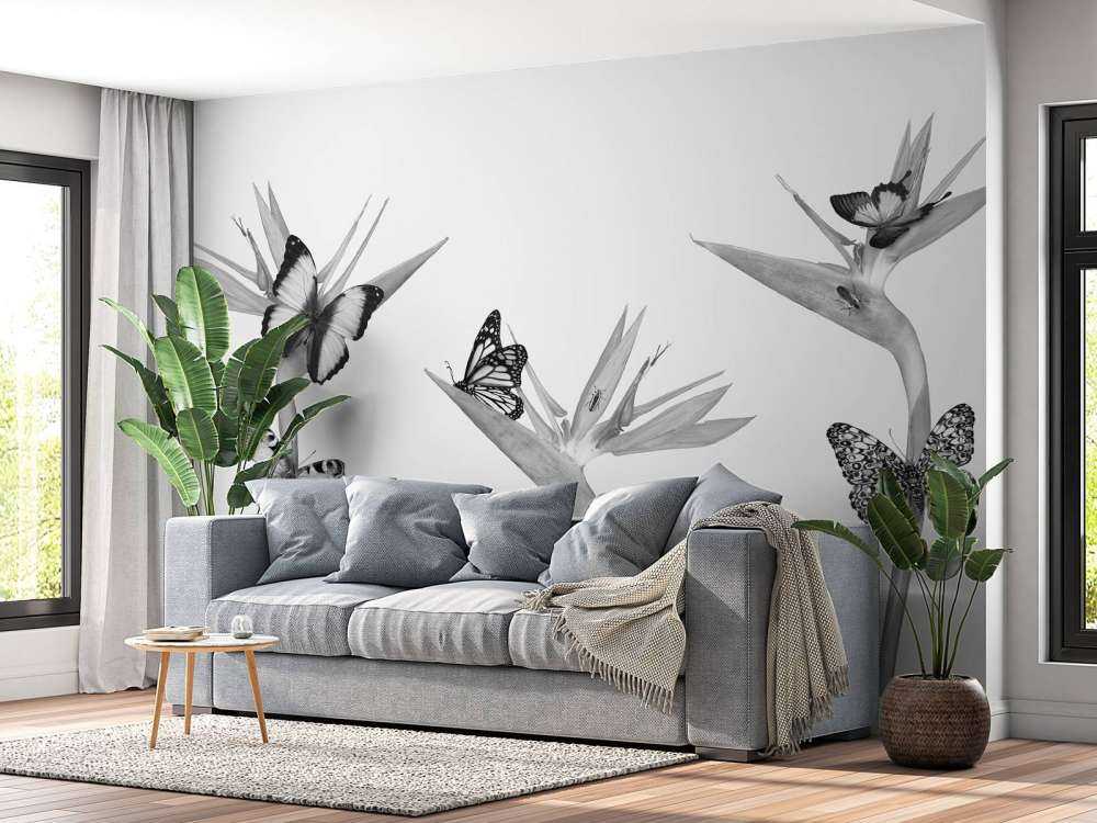 Sommerfugler på paradisfuglblomster