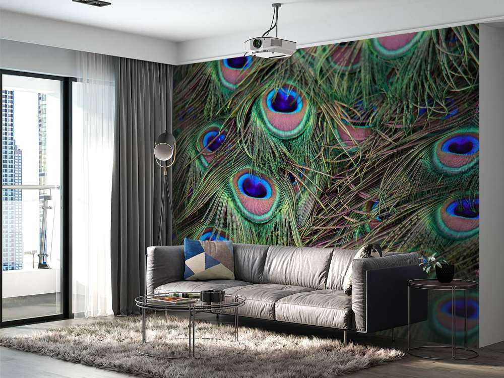 Nærbilde påfuglfjær