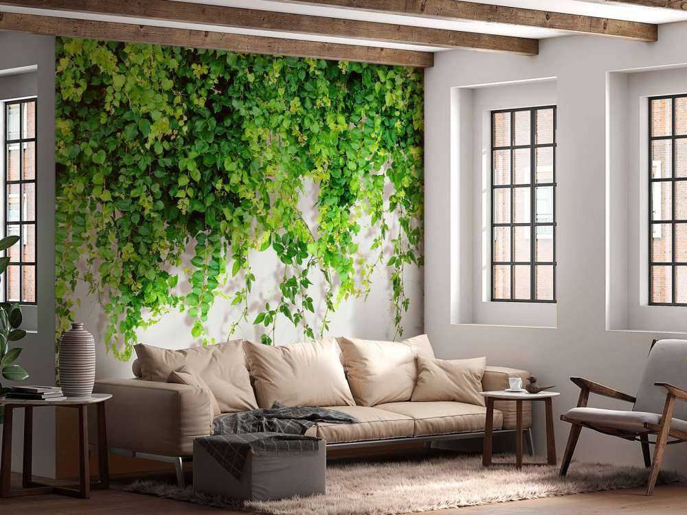 Grønne hengende grener