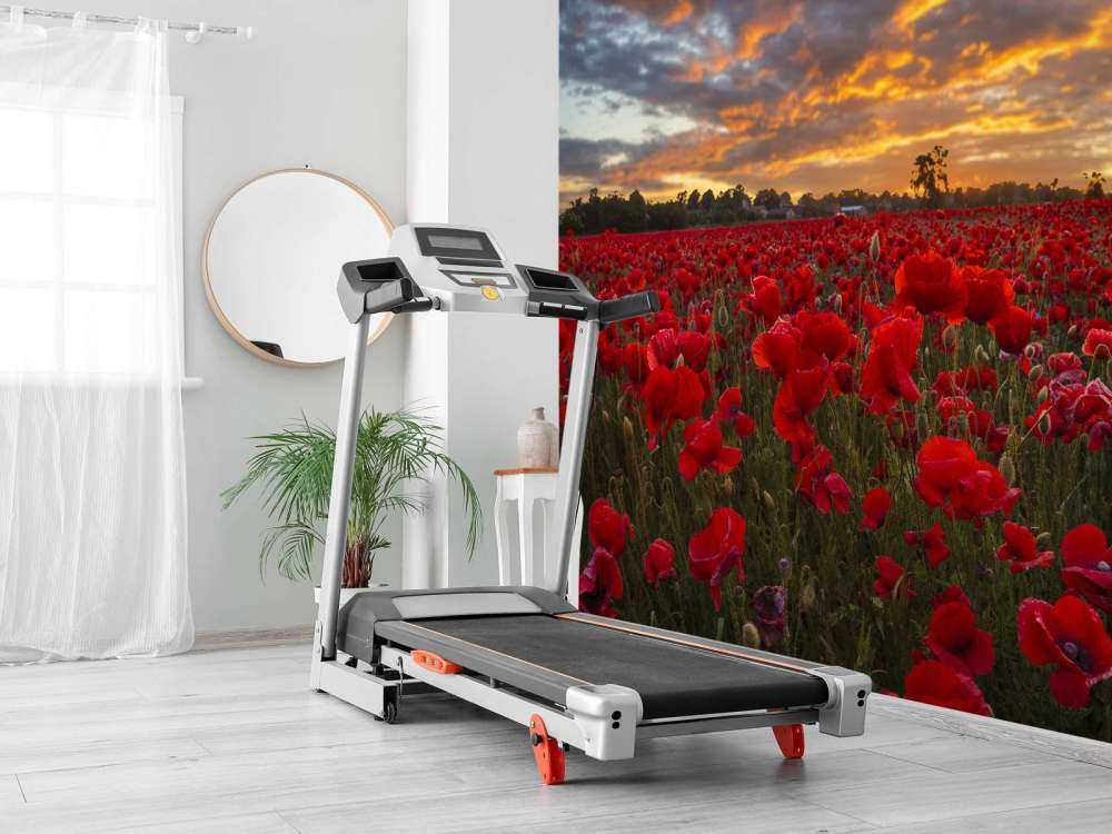 Valmuefelt med vakker himmel