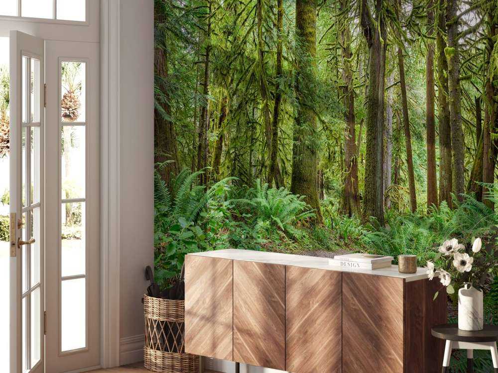 Sti med sten gennem skoven