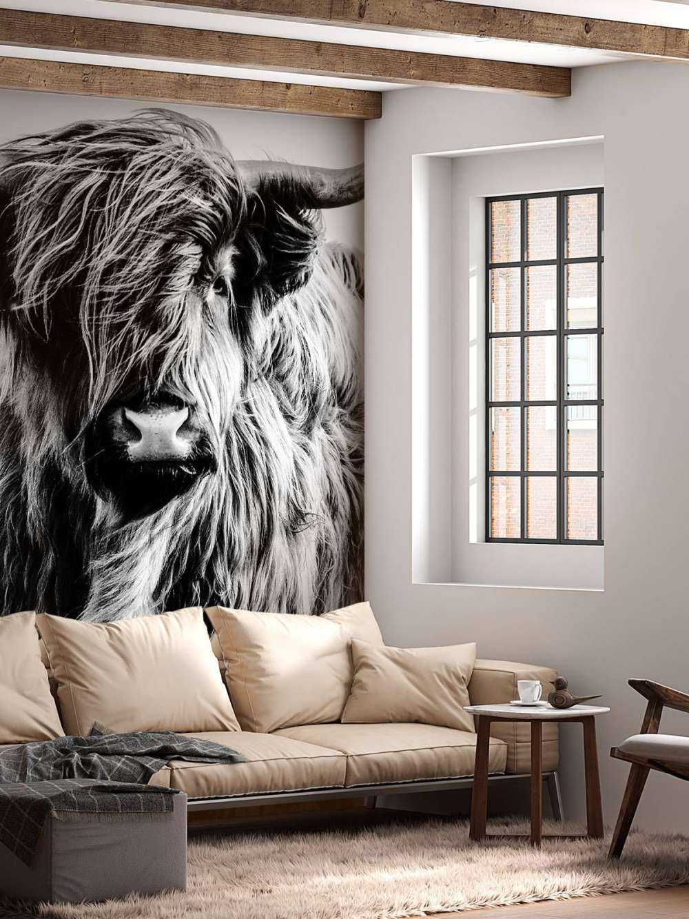 Scottish højlander i sort og hvid