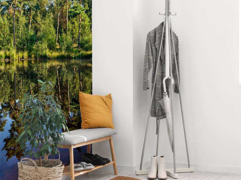 Refleksion i skovene