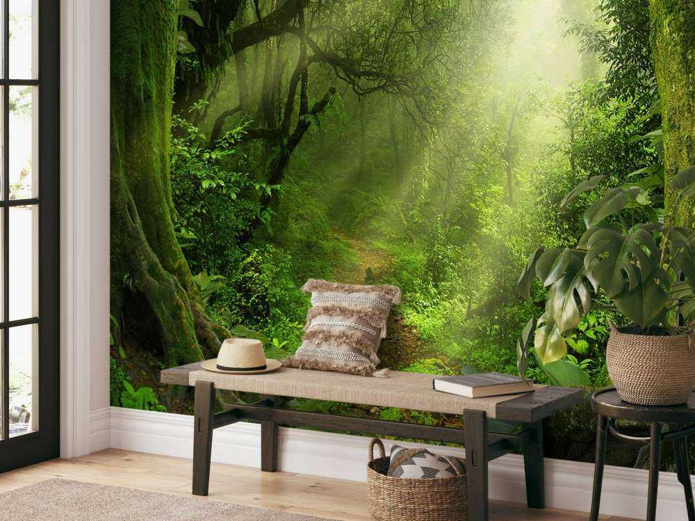 Jungel med solstråler