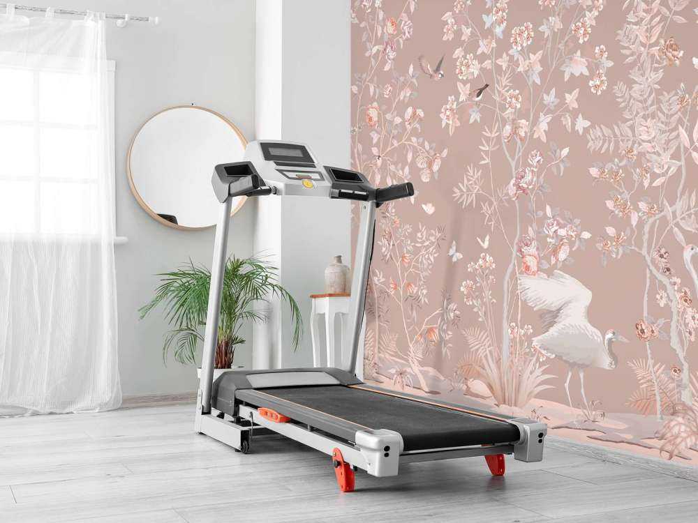 Graceful Storks Have