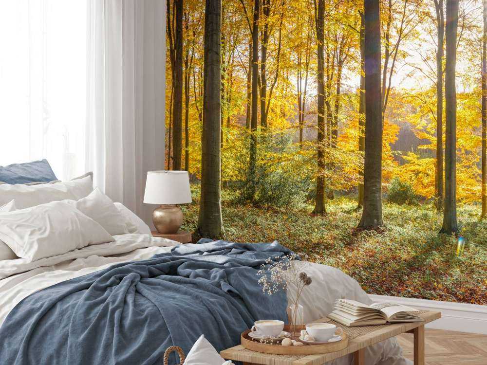 Solrig efterårsdag