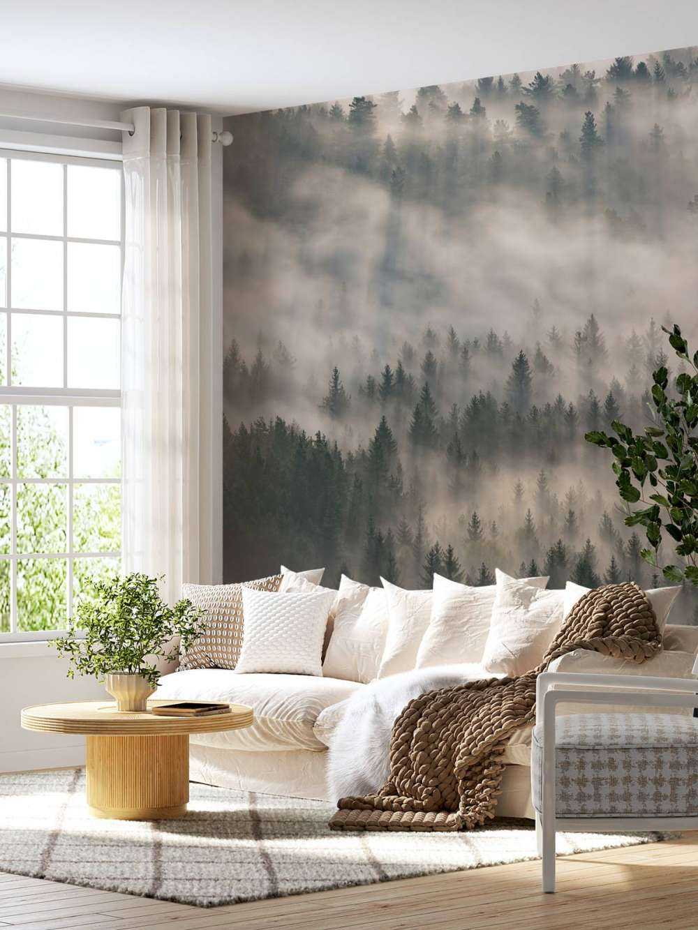 Fyrretræer og tåge