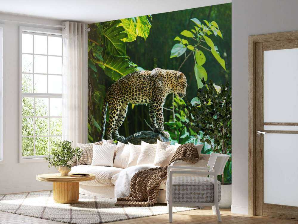 Leopard på en klippe