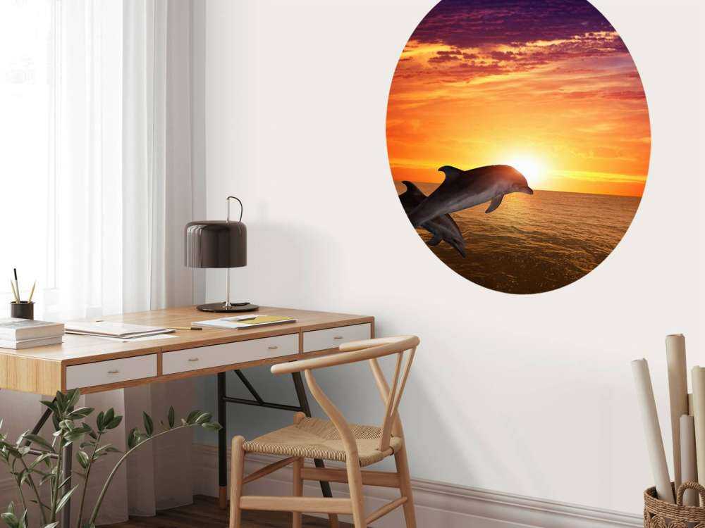 Delfiner i aftensolen