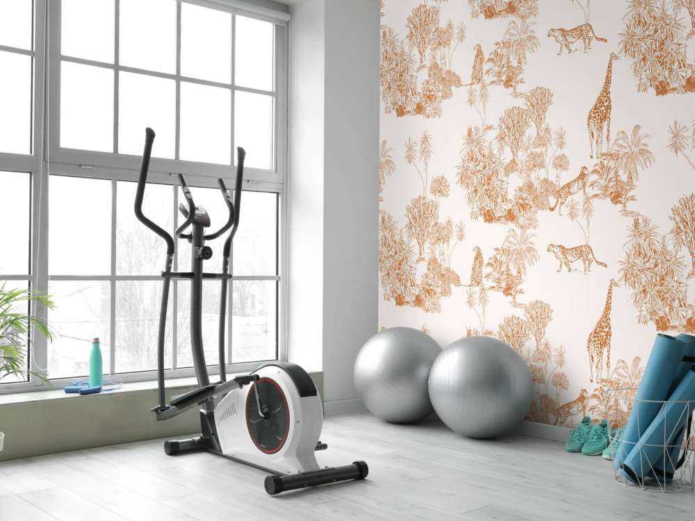 Geparder og giraffer