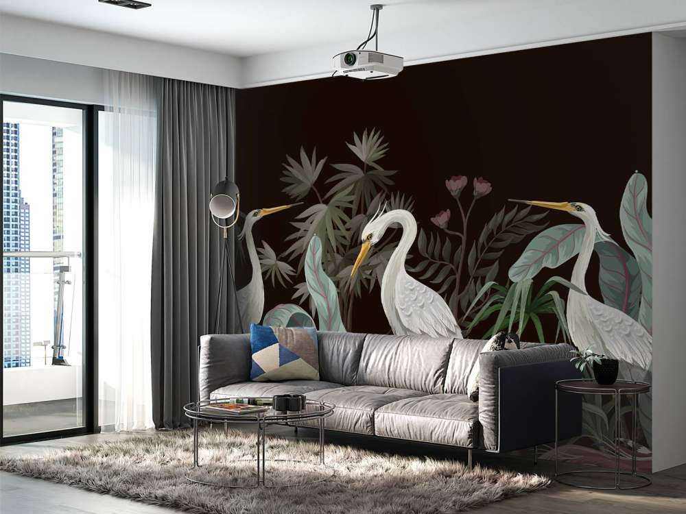 Sierlijke kraanvogels