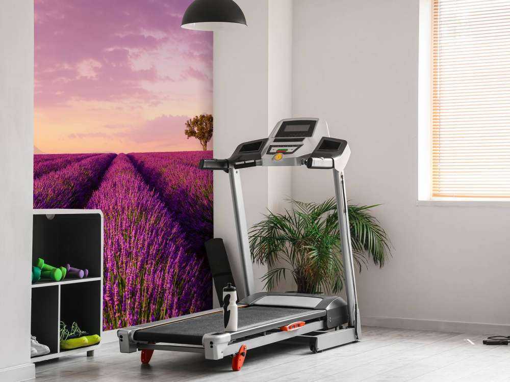 Lavendel felt og luftballon