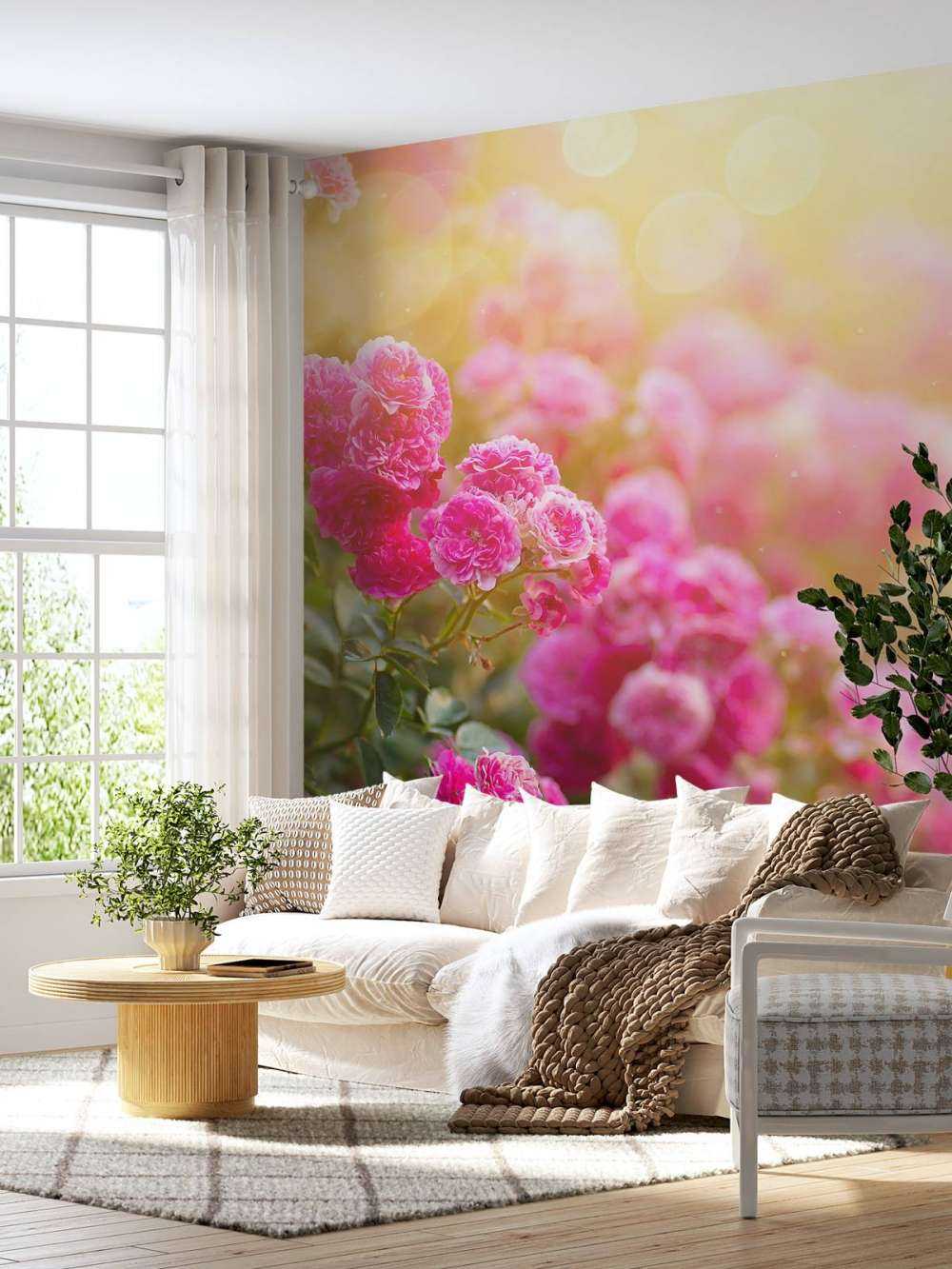 Lyserøde rosenbuske