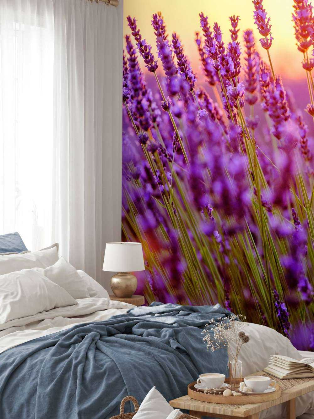 Nærbillede lavendel