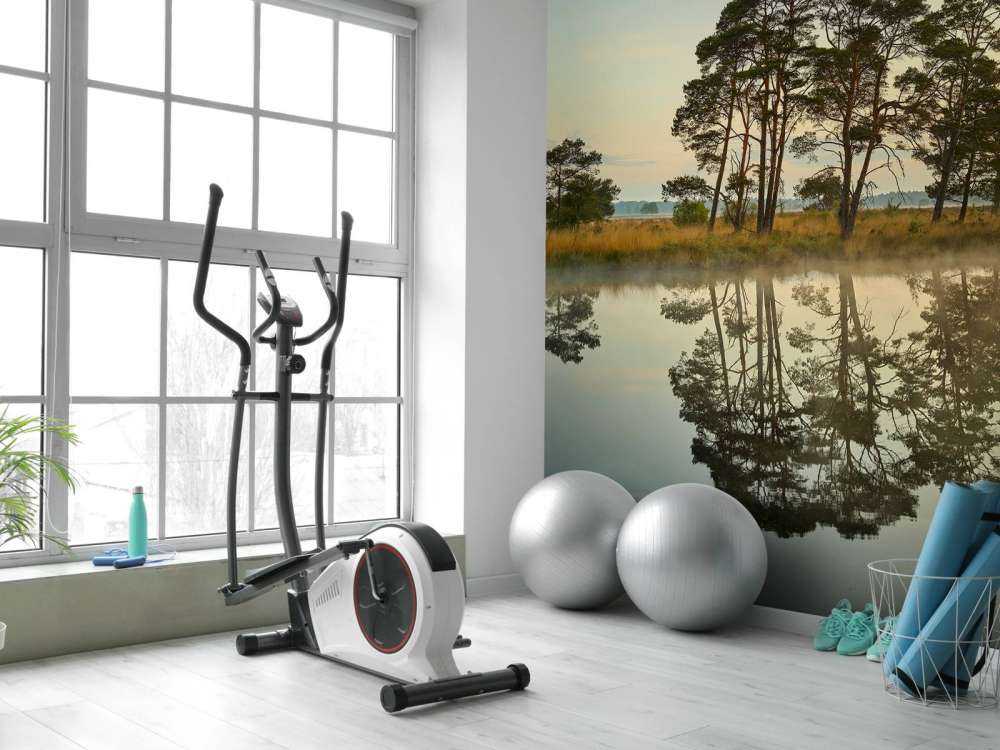 Refleksion i skovårer