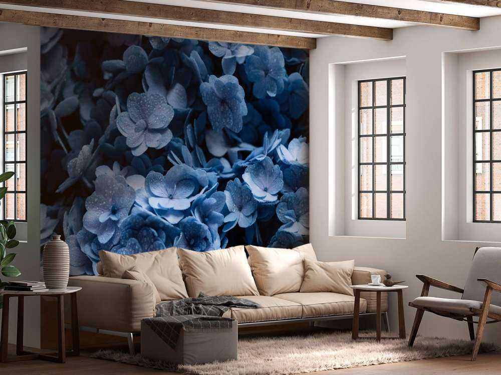 Nærbillede af hortensia