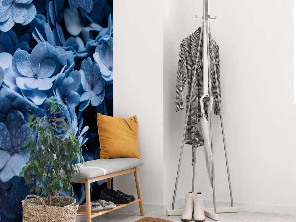 Nærbillede af hortensia