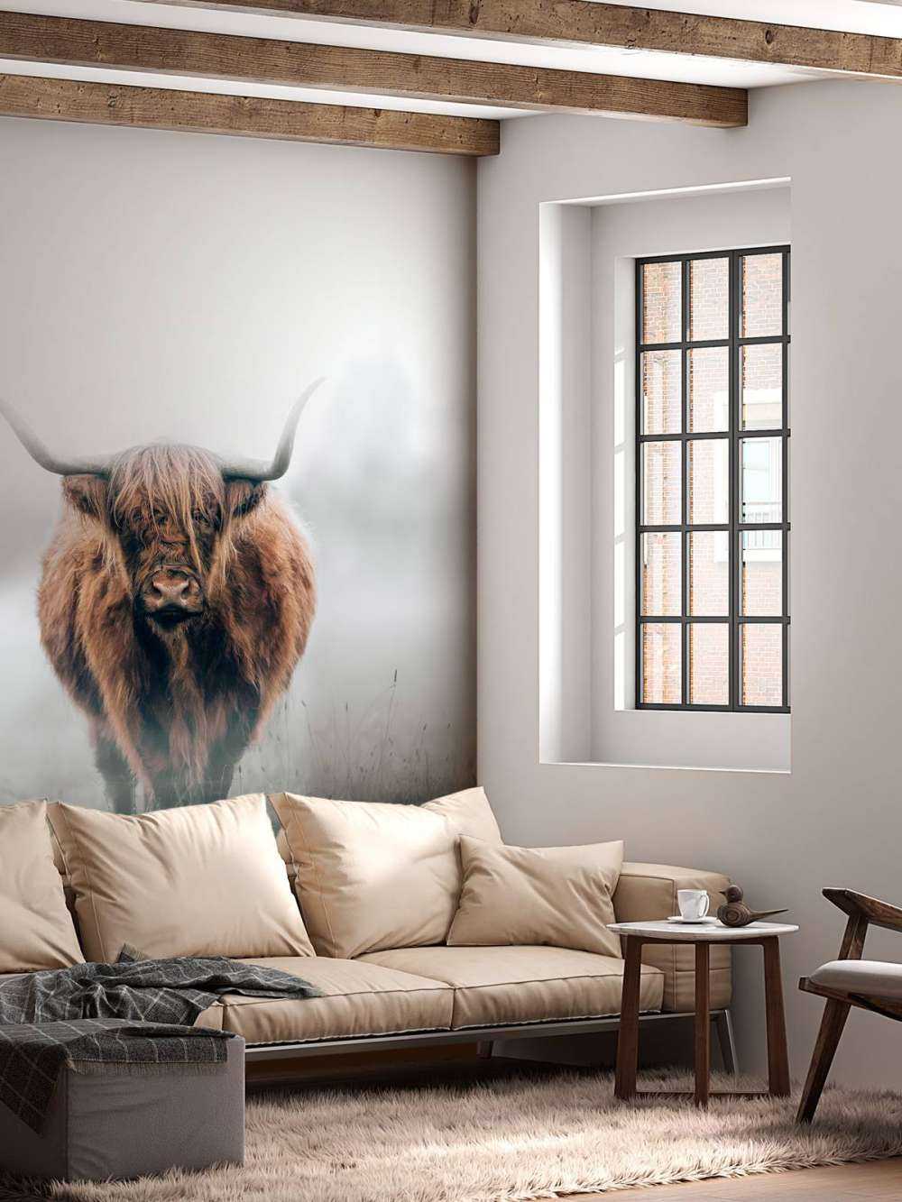 Skotsk højlænder i tæt tåge