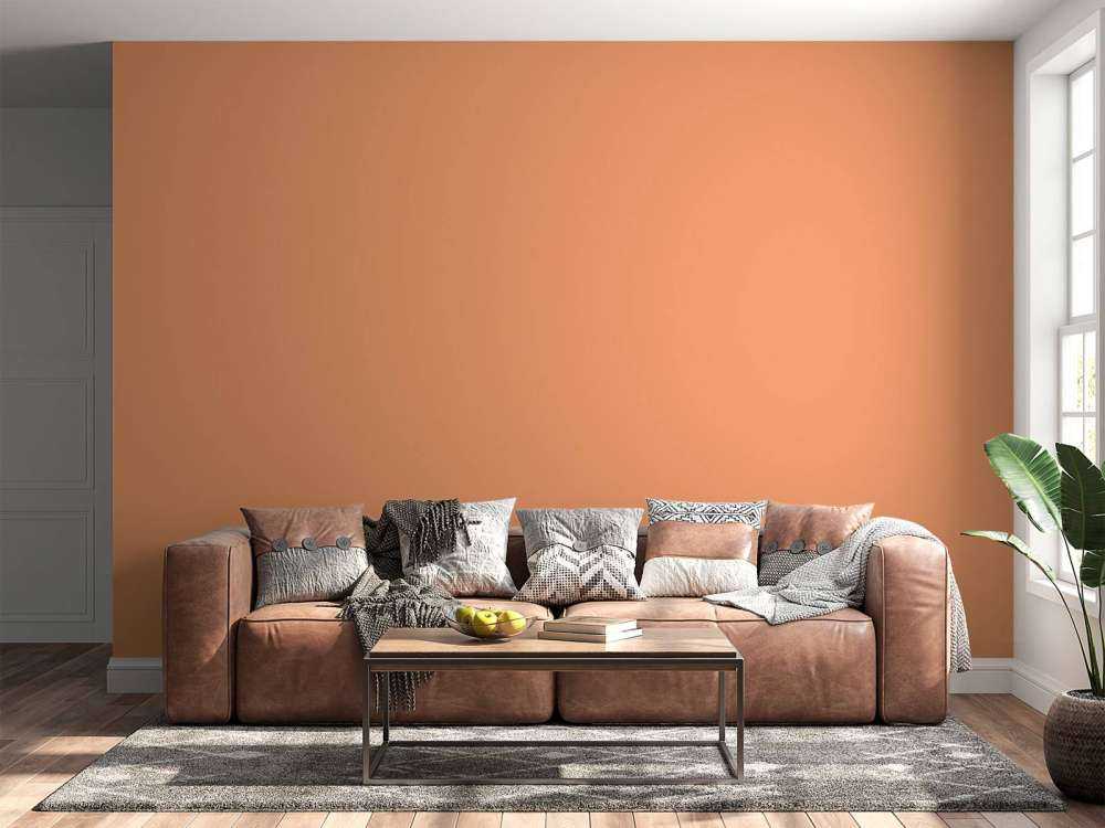 Pink orange
