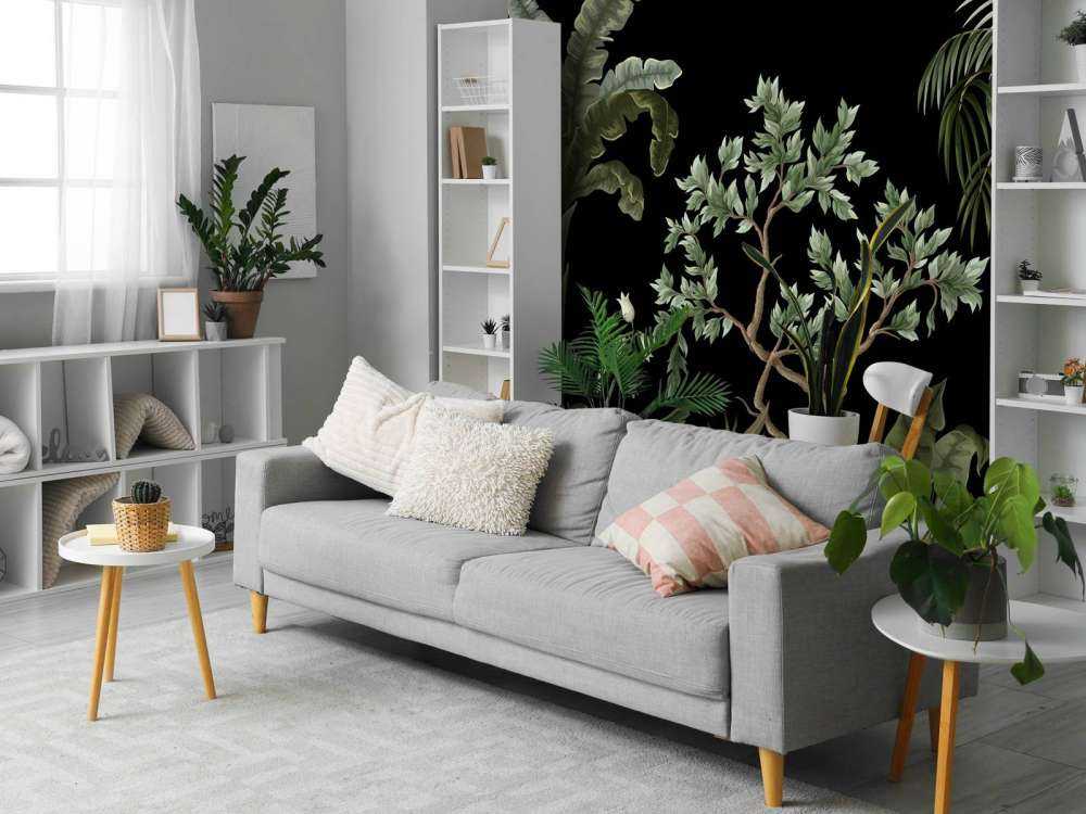 Træer med mørk baggrund