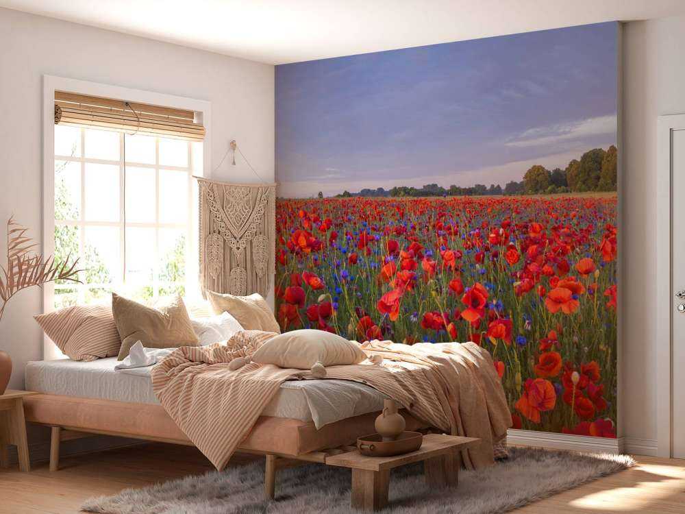 Blå blomster og røde valmuer