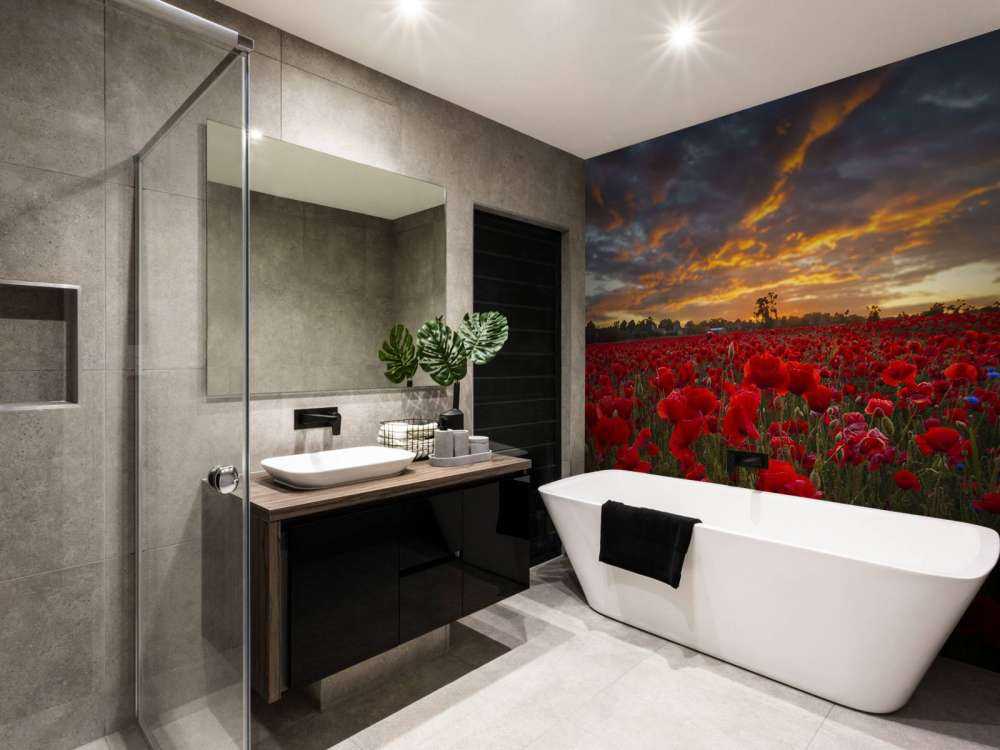 Valmuer mark med smuk himmel