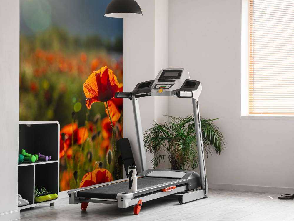 Valmuer med solstråler