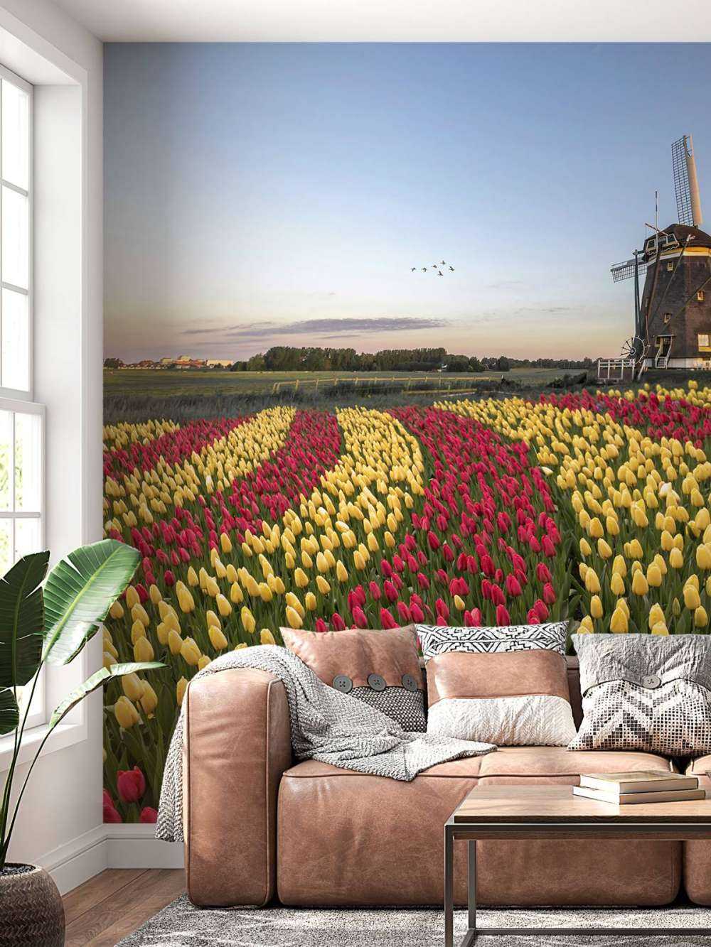 Hollandsk tulipanmark