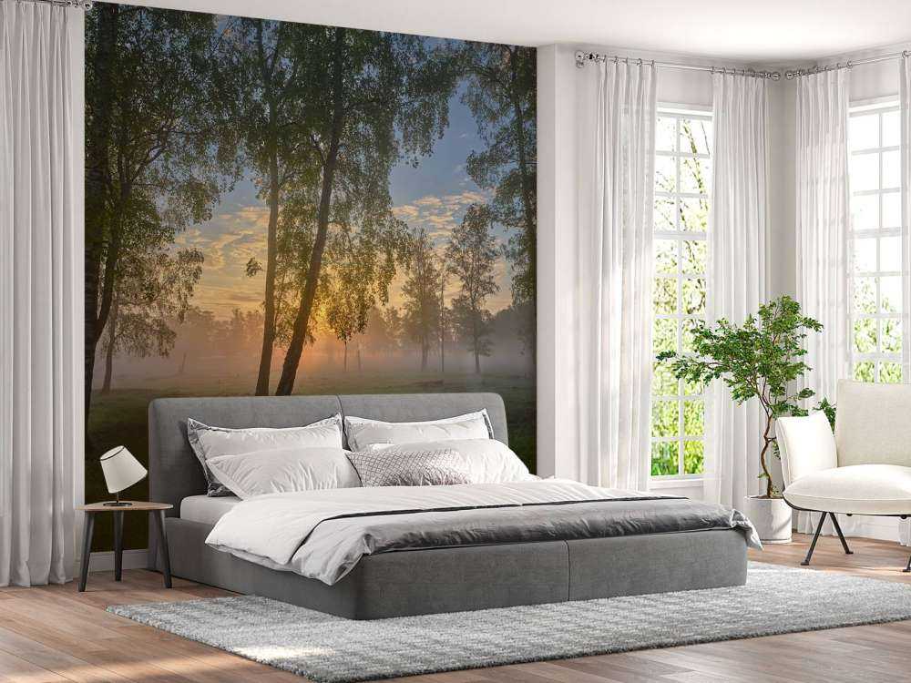 Solopgang ved birkerne