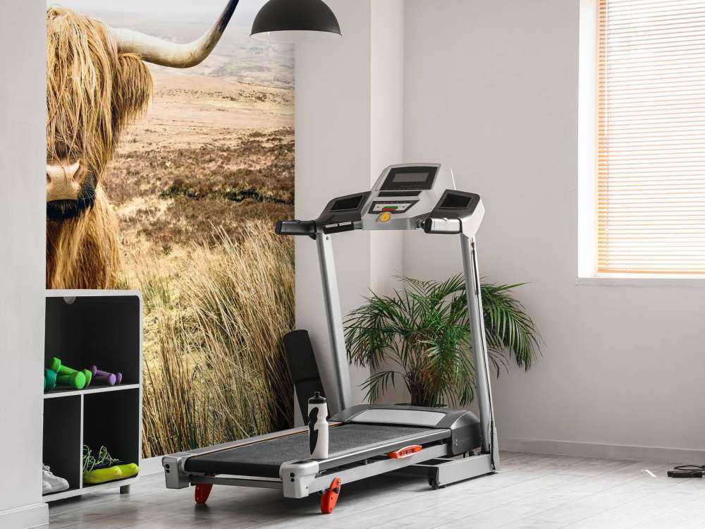 Skotsk hoglandare med vass