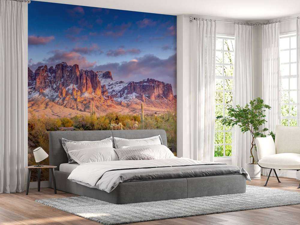 Kaktus i ett berglandskap