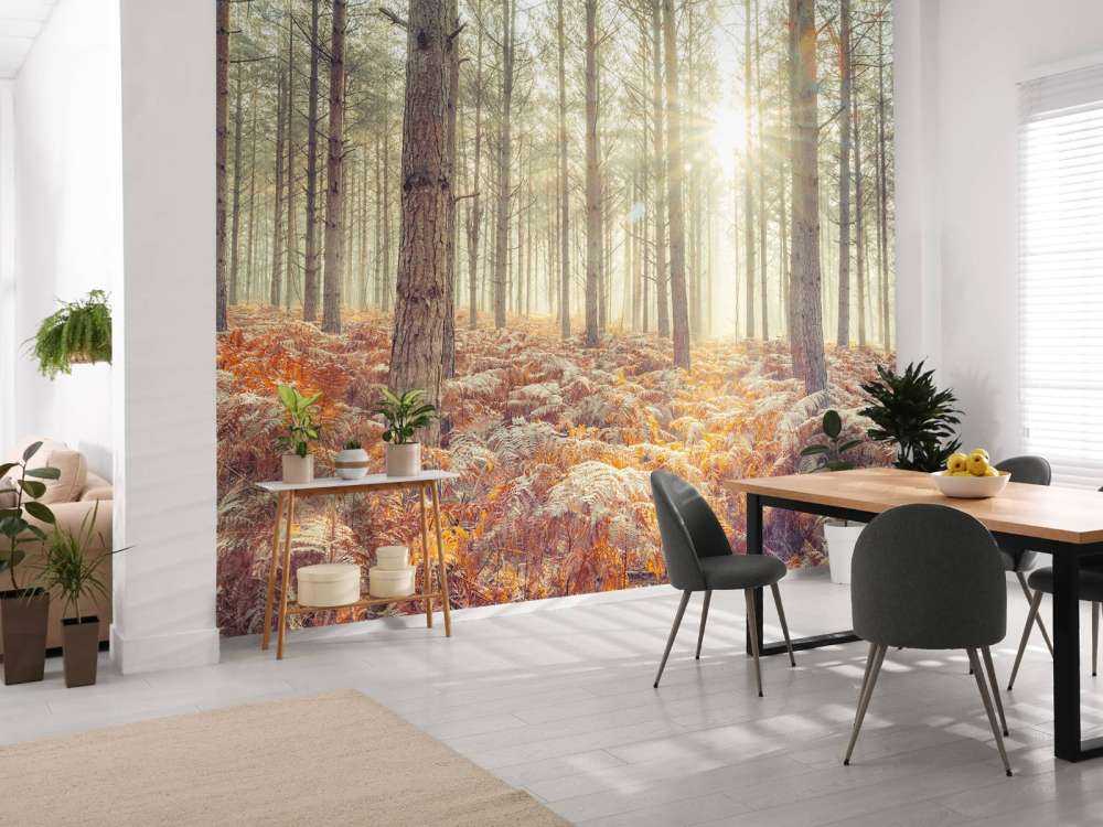 Solstrålar genom de kalla träden