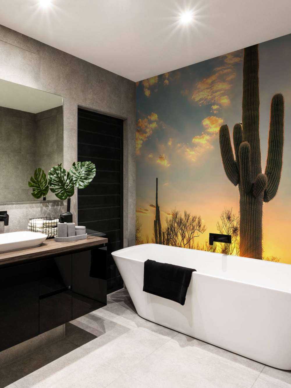 Kaktus vid solnedgången