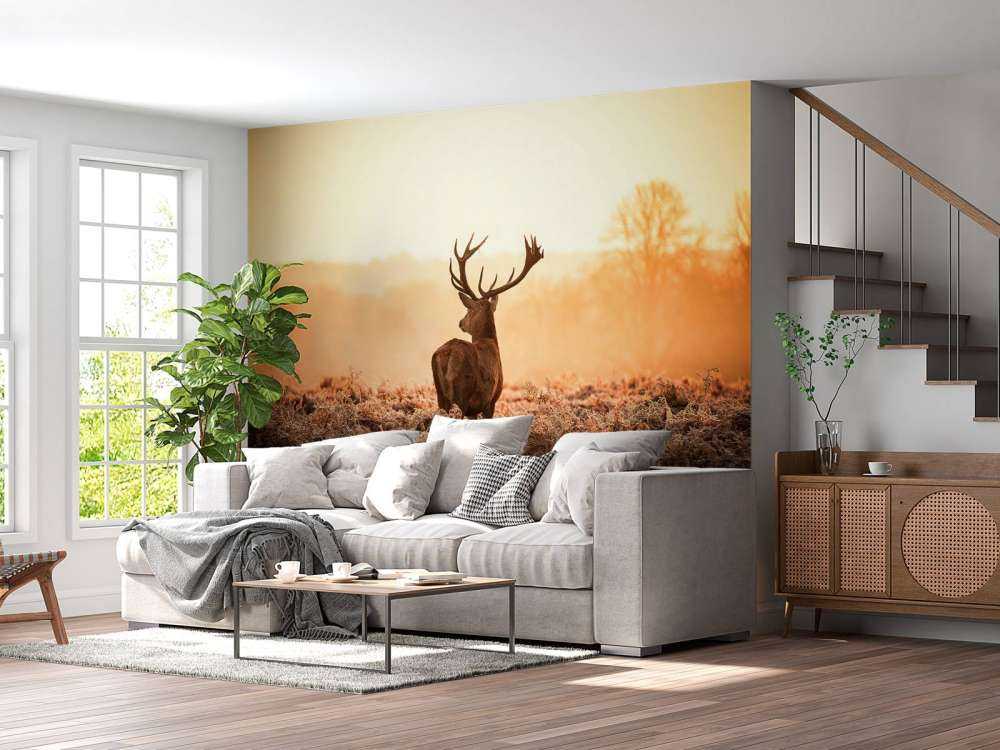 Rådjur i soluppgång