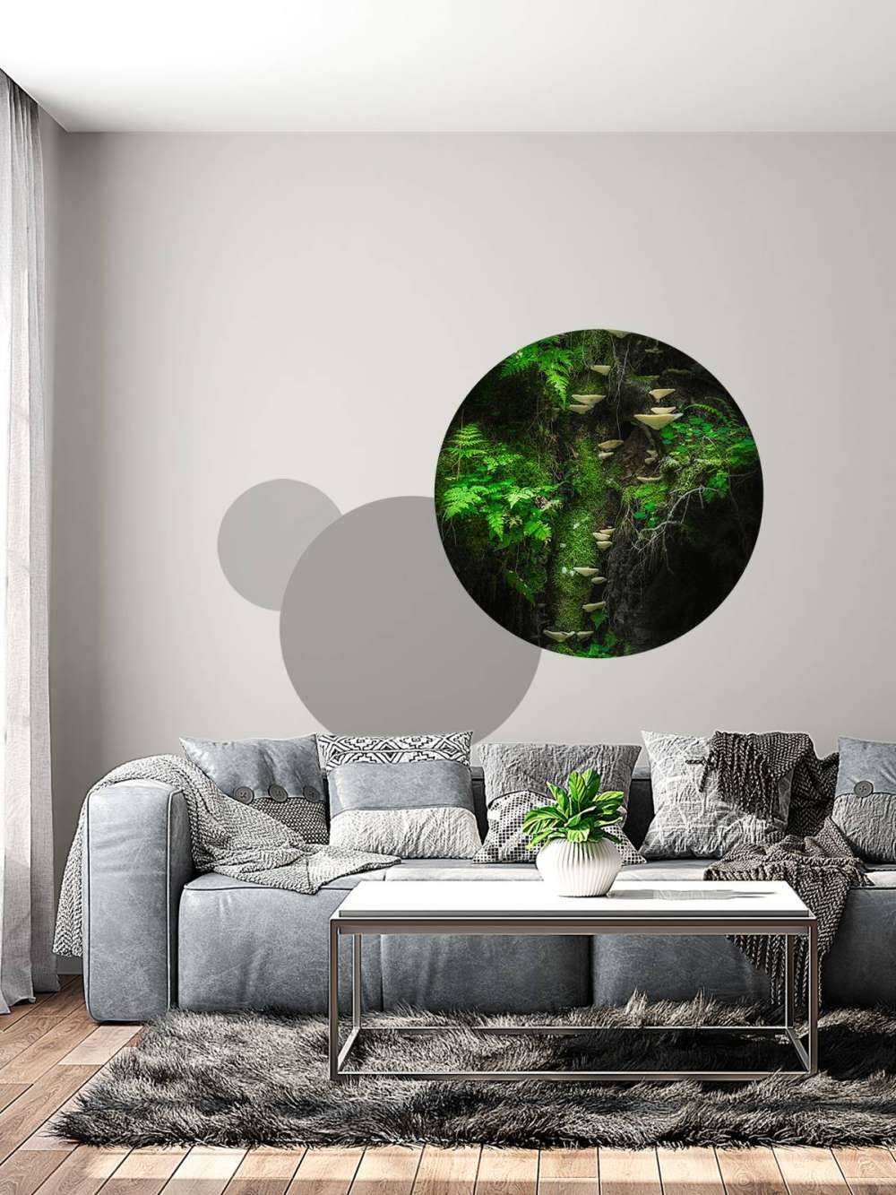 Mushroom Wall