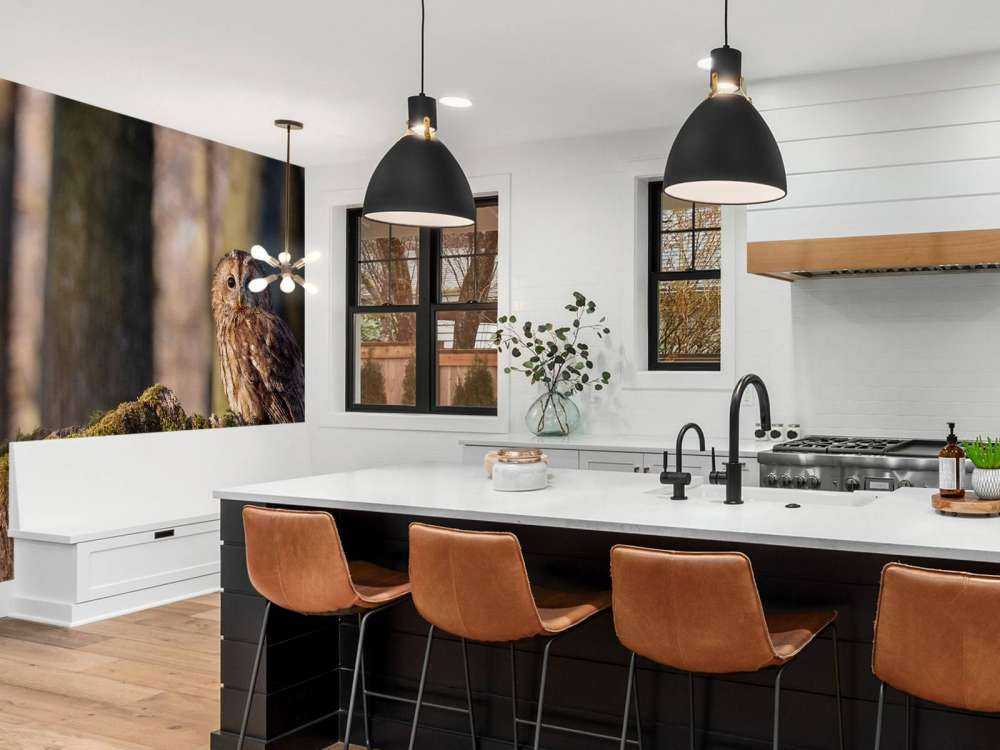 Lilla uggla på ett nedbrutet träd