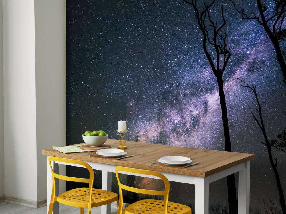 Stjärnor mellan träden