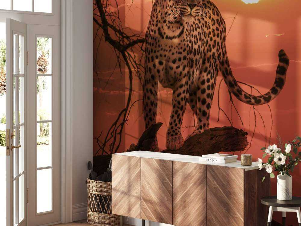 Leopard med solnedgång