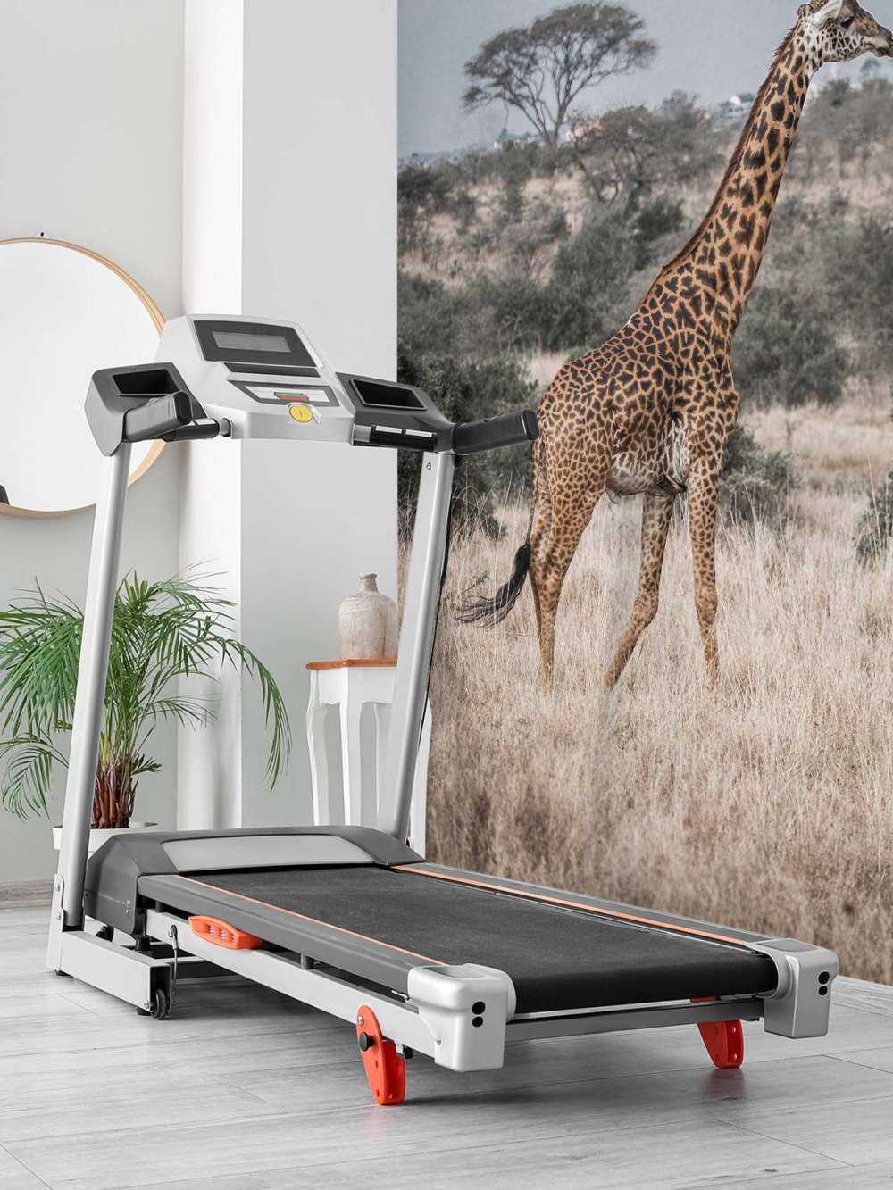 Giraff porträtt