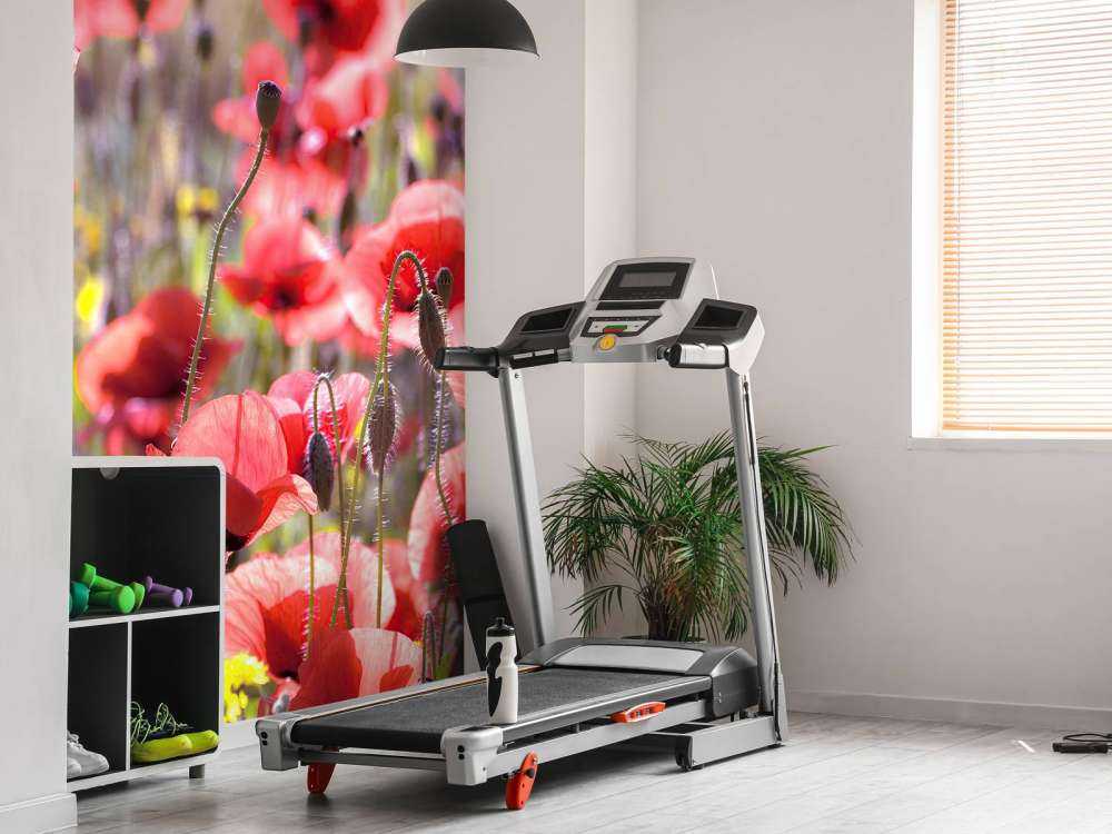 Vallmo med vintageutseende