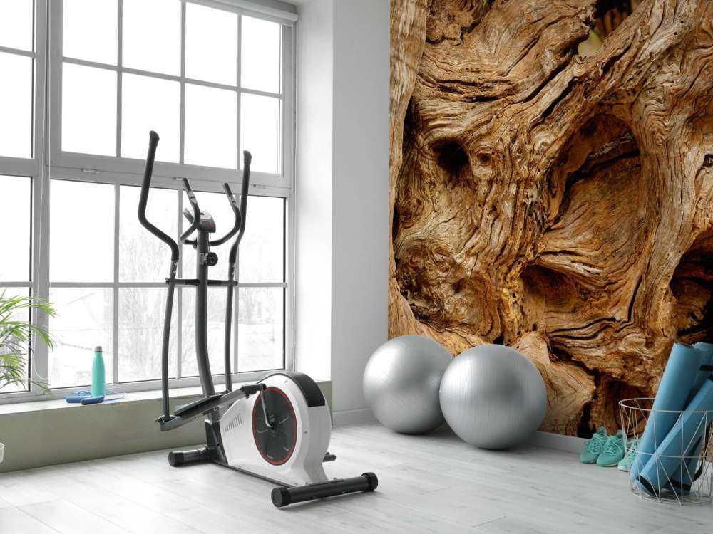 Gammalt träd för närbild