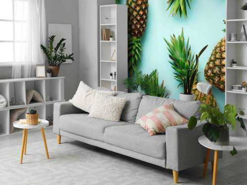 Ananas