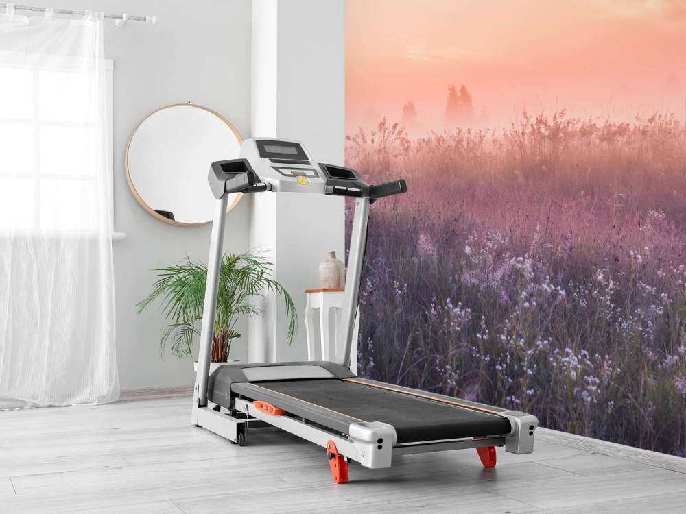 Fält med morgondimma