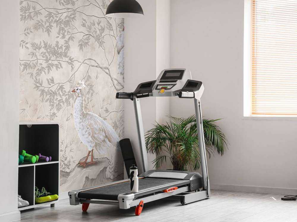 Påfåglar i trädet